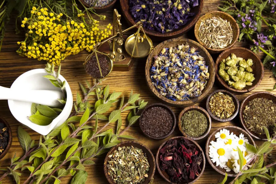 Dried medicinal herbs and flowers in small bowls